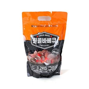 캠핑 바비큐 차콜 원콜 야자 숯 1.2kg / 2.4kg / 3.9kg