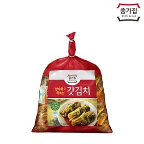 국산 갓김치 3kg