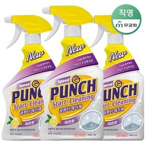 스피드펀치 곰팡이 제거제 800ml x 3개