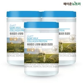 메이준뉴트리 유러피언 산양유단백질 콜라겐 프로틴 분말 파우더 252g 3통