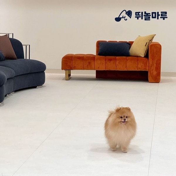 뛰놀마루 강아지매트 프리미엄 TPU 논슬립 갤럭시베이지 1M