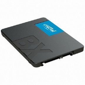 마이크론 Crucial BX500 대원씨티에스 (1TB)