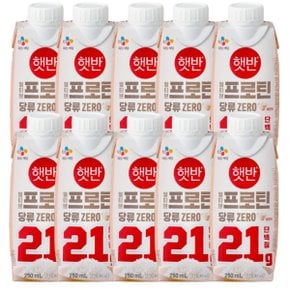 CJ 얼티브 비건 프로틴 쌀밥 250ml x 10개