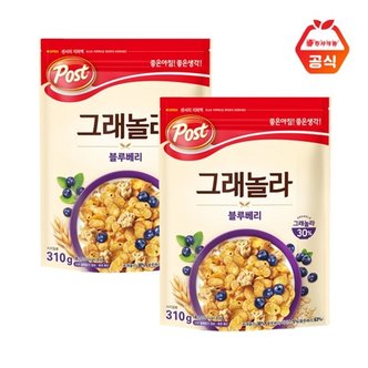 동서 그래놀라 블루베리 310g+310g