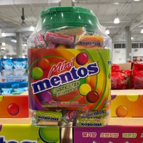 멘토스 미니 과일맛 대용량 160개 MENTOS 간식 코스트코