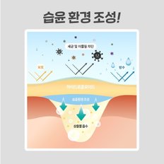 3M 넥스케어 블레미쉬 클리어 커버 72매입 X 2개