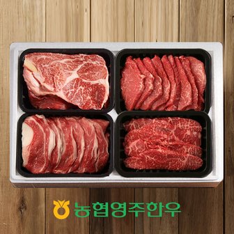 작심밀도 [농협영주한우]1+ 로스특수부위 모듬 한판 3호 / 총 800g (등심200g,차돌박이200g,모듬구이200gx2)