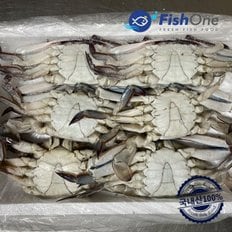 국내산 살이꽉찬 숫꽃게(급냉) 2kg(6미내외)