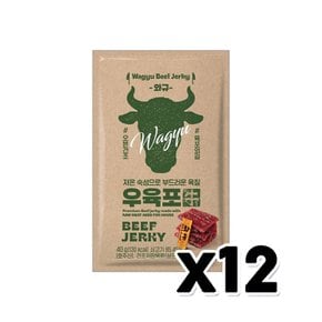 항진 와규 우육포 술안주간식40g  x 12개