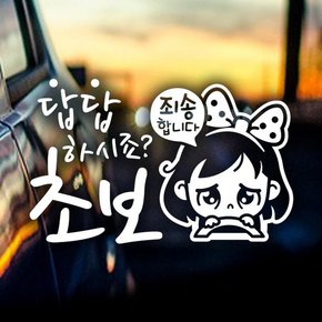 답답초보 동글이 / 초보운전 반사스티커 자동차스티커