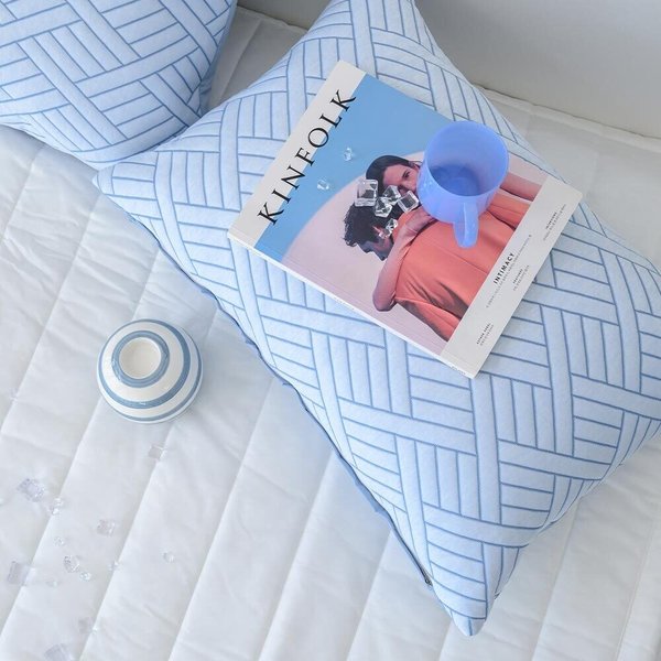 더블리 프리스 3중직 냉감 지퍼형 베개커버 50x70 3컬러