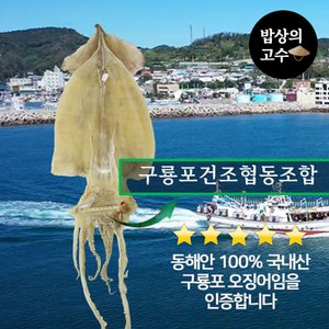  국산 마른오징어 20미 울릉도 구룡포 건오징어 건어물 2kg