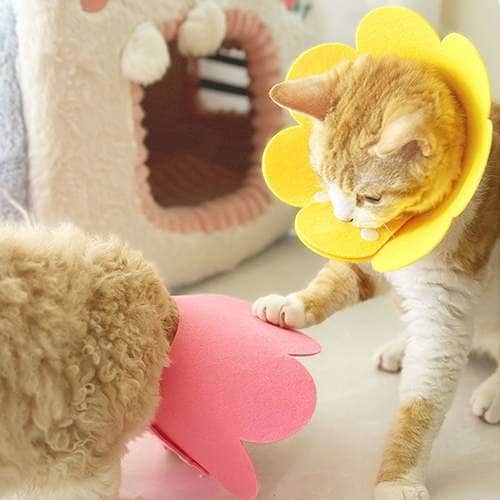 이미지1