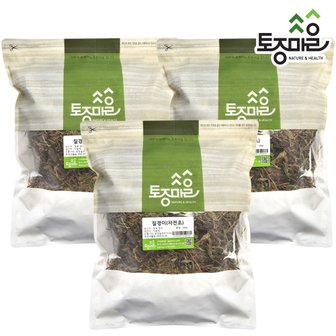 토종마을 국산 질경이(차전초) 300g X 3개