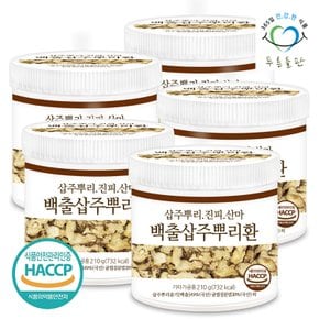 백출환 haccp 인증 휴대용환통 사은품 210gx5통 삽주뿌리환