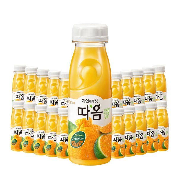 확대된 대표 메인이미지