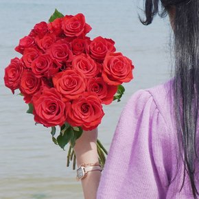 비탈 장미 빨간장미 생화택배 생화꽃 꽃배달 꽃택배