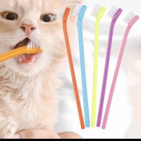 강아지 고양이 칫솔 양치 치석제거 동물칫솔 랜덤색상