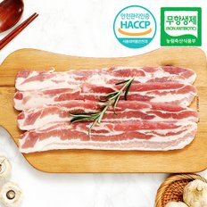 [아우내축산]무항생제HACCP 1등급 한돈 삼겹살 구이용 500g