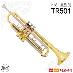트럼펫 Bach Trumpet TR501 / TR-501 한국정품