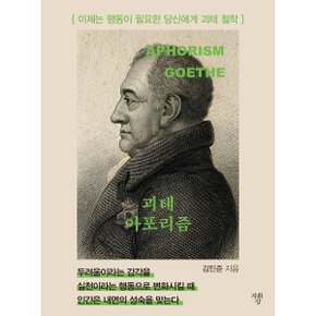 괴테 아포리즘 : 이제는 행동이 필요한 당신에게 괴테 철학