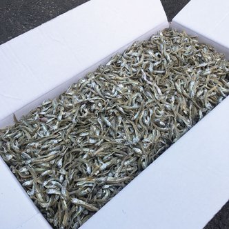  상급 고바 가이리멸치 1.5kg 무료배송 볶음멸치 멸치