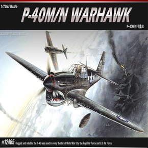 No80/P-40M/N 워호크 프라모델 비행기 1/72스케일