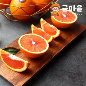 카라카라 오렌지 중과 5과 개당190g내외