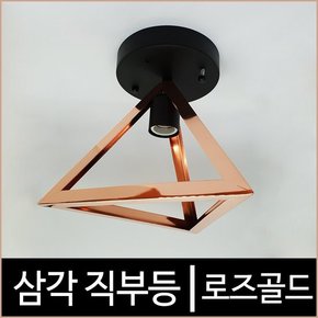 삼각 직부등 로즈골드 캐닝 LED조명 현관등