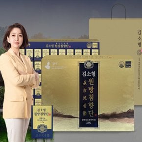 김소형 원방침향단 3.75g x 100환 (쇼핑백증정)