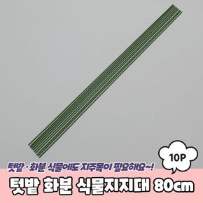 PARABU-1548-A-텃밭 화분 식물지지대 80cm 10P