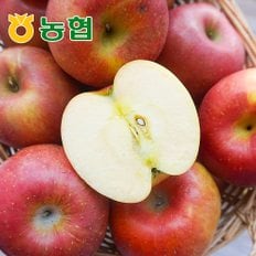 [농협] 아삭달콤 안동 사과 가정용 3kg (12과내)