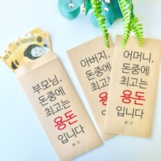 현금봉투 설날 명절 세뱃돈 용돈 돈 봉투 부모님 생신 칠순 어버이날 이벤트