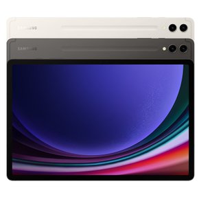 갤럭시탭 S9 플러스 256GB 5G [SM-X816N]