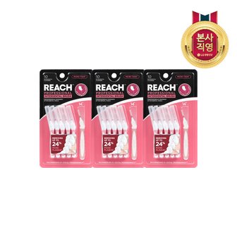 엘지생활건강 리치 치간칫솔 10입(MICRO TIGHT) x 3개