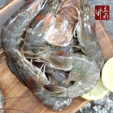 바른씨 [신선배송] 대하 왕새우 블랙타이거 흰다리새우 캠핑 구이용