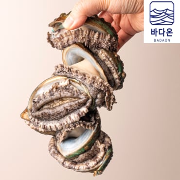 바다온 [활전복] 완도활전복 1kg 모음전 (산소포장,무료배송)