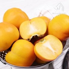 산지직송 진주 부유 단감 3kg(12-13과내외,특대과)