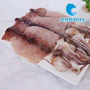 부드러운 국내산 반건조 오징어 1.1kg / 10마리