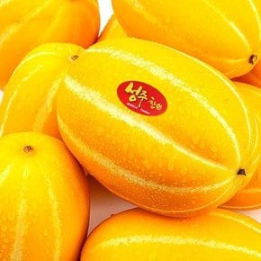고당도 맛보장 성주 꿀 참외 성주참외 가정용/중소과 2kg(6-10과) 실중량