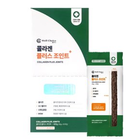 콜라겐 플러스 관절+피부건강 조인트 300g