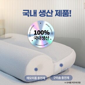 홈쇼핑 듀얼슬립베개