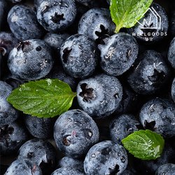 생블루베리 1.5kg (12팩)