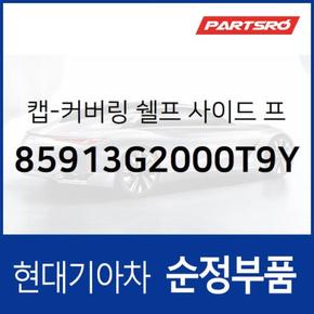 캡-커버링 쉘프 사이드 프론트,좌 (85913G2000T9Y)  아이오닉 하이브리드, 아이오닉 하이브리드 19, 아이오닉 전기차, 아이오닉 전기차 19