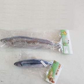 고양이 장난감 꽁치(20cm)
