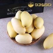 [9/7 순차출고][이과일이다] 필리핀 카라바오 생망고 2.5kg 12과 선물세트