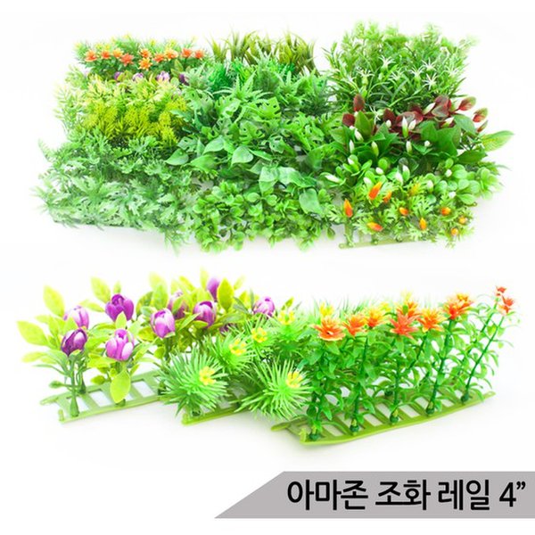 확대된 대표 대표이미지