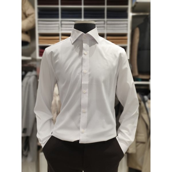 [파주점] )화이트컬러 와이드카라 심플셔츠(BZD5WD1102)