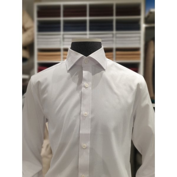 [파주점] )화이트컬러 와이드카라 심플셔츠(BZD5WD1102)