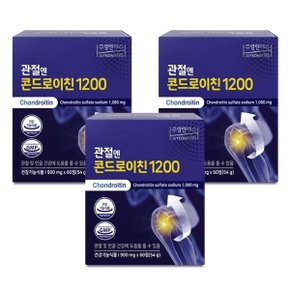 주영엔에스 관절엔 콘드로이친 1200 900mg x 60정 3박